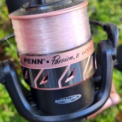 Penn Passion2 Fishing Reel