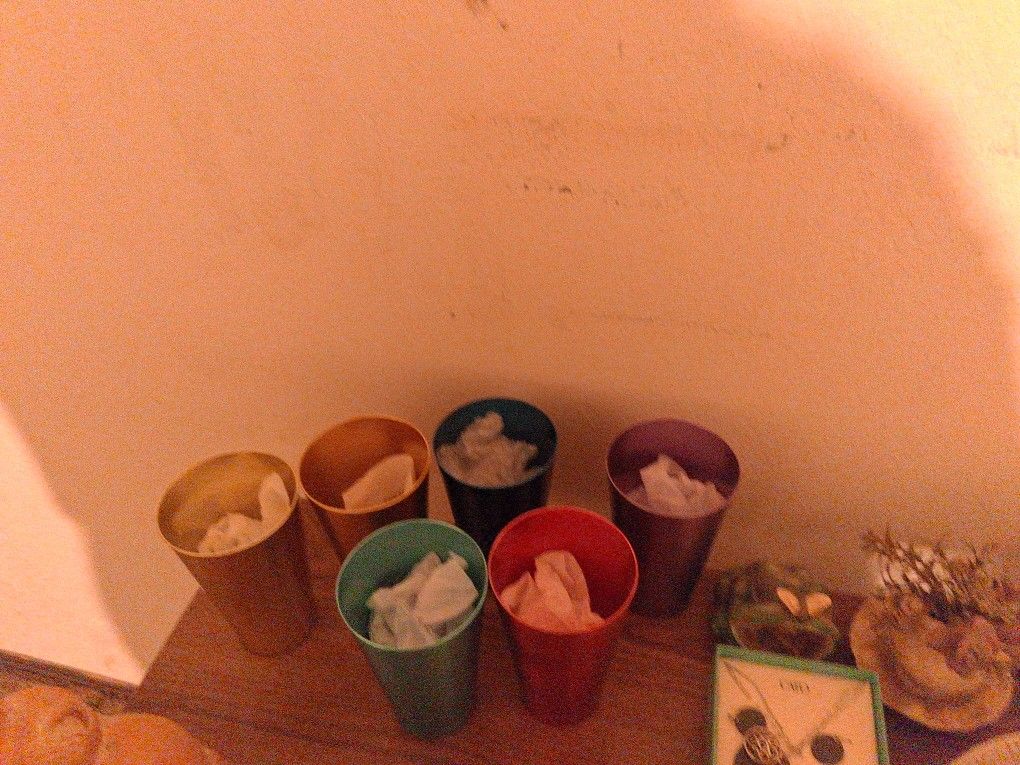 6 cup