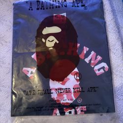 “A Bathing Ape” Bape Shirt