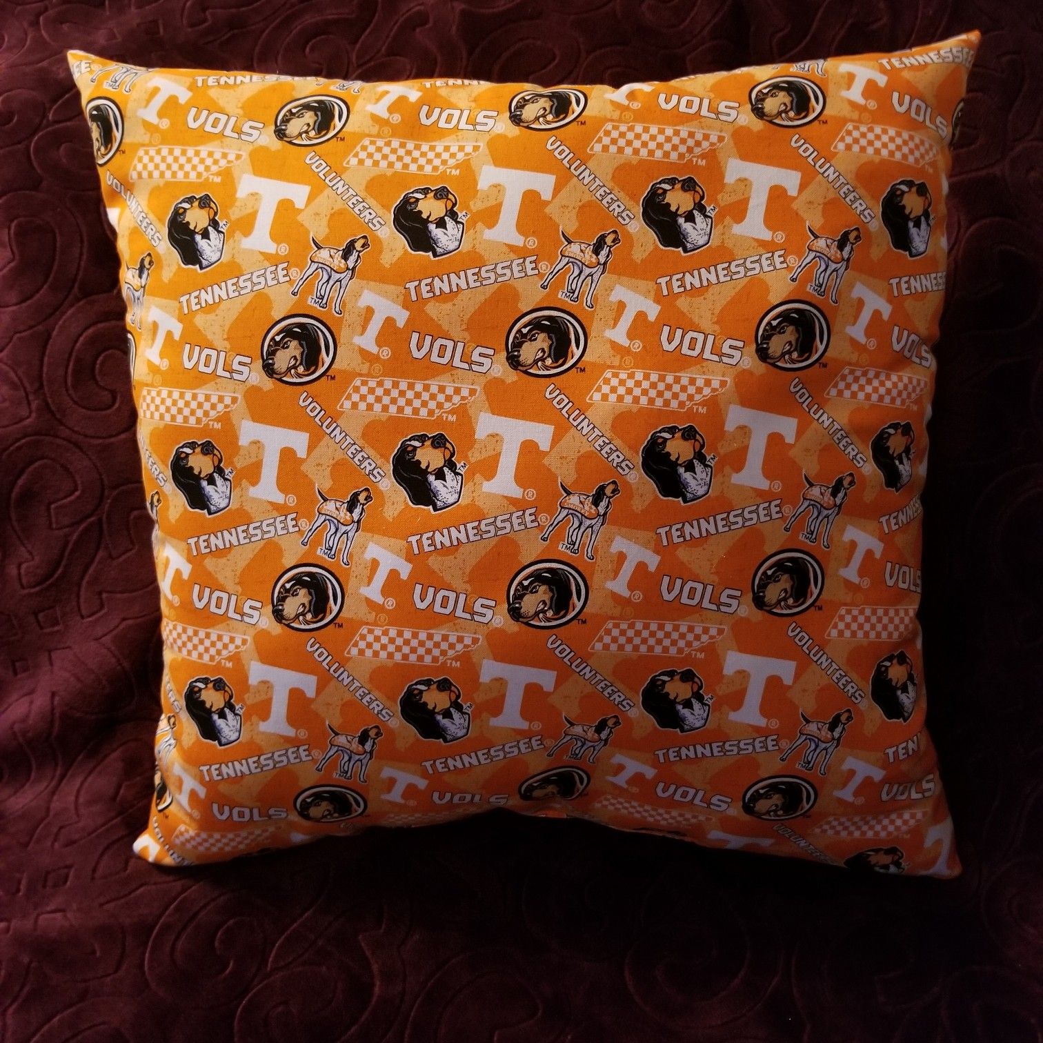 Tennessee Vols throw pillow