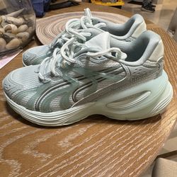 Puma Inverse 
