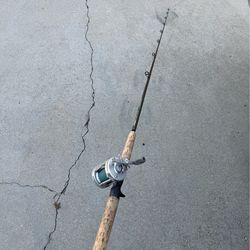 Fishing pole combo