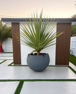 Maceta Para Plantas. Planter For Sale!
