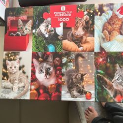 1000 Piece Cat Puzzle 