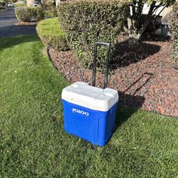 Igloo Cooler