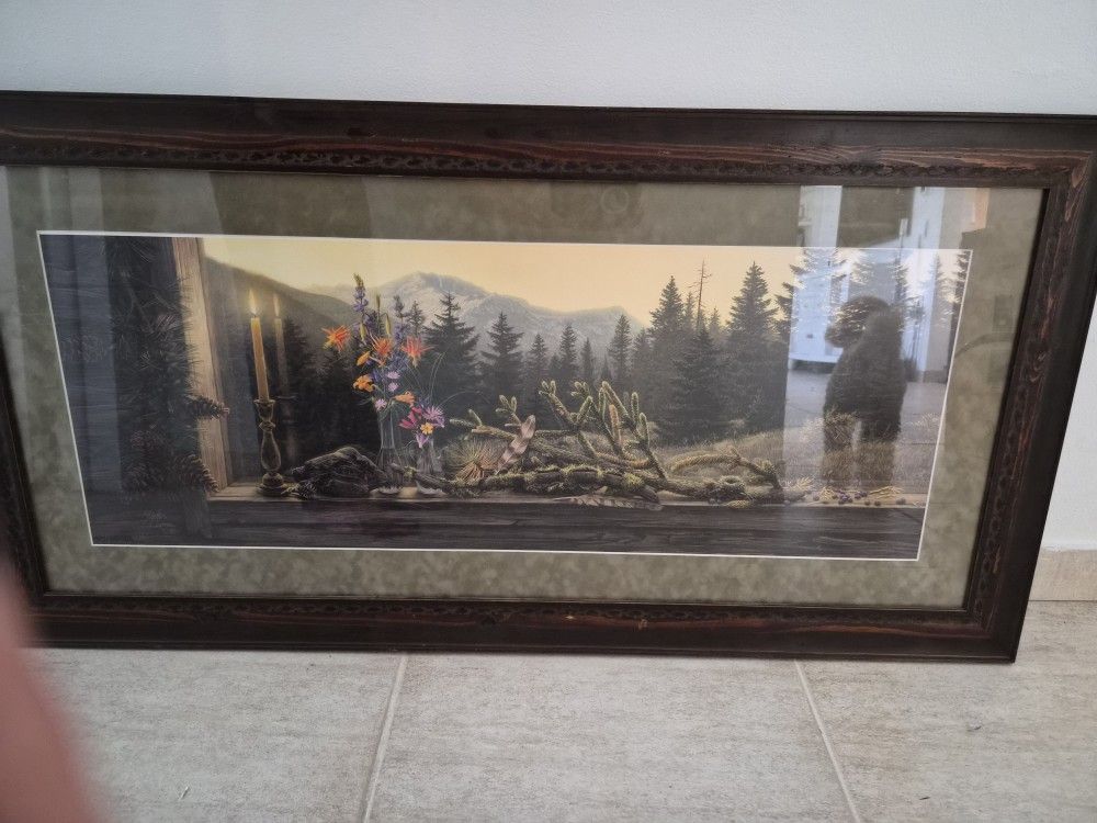 Framed Print. Stephen Lymen-Evening Light