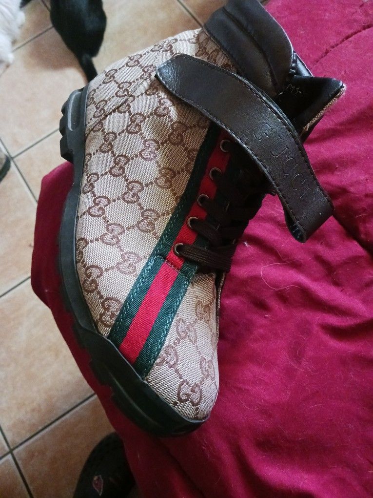 Gucci Shoes