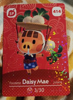 Daisy Mae (414)