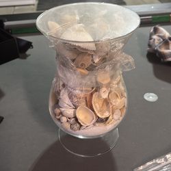 Vase with sea shells