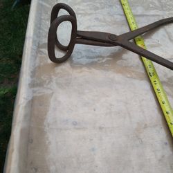 Ice Carrier Or Could Represent Logging Grabbing Tool. 