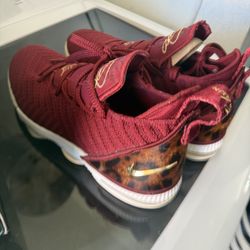 Nike LeBron 