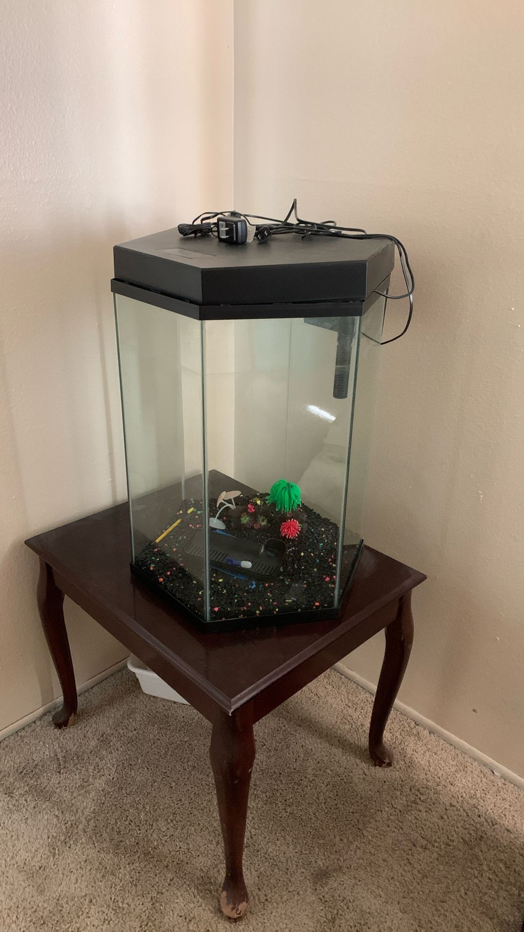 Fish Tank