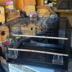 bird Cage
