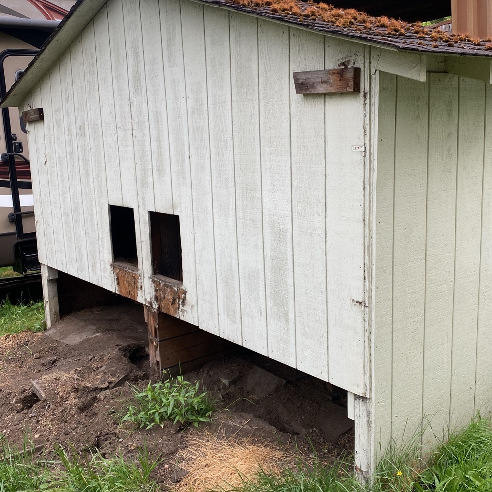 Dog House Custom Made