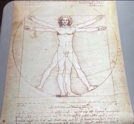 Leonardo Da Vinci Poster