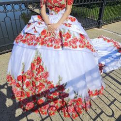 Quinceañera Dress 