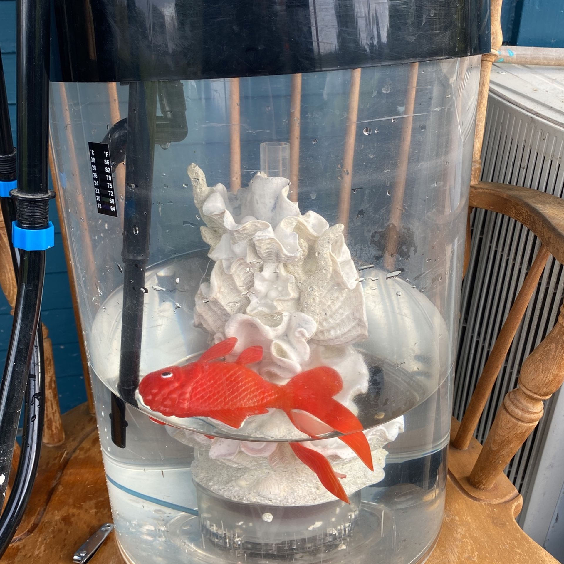 Cylinder Fish Tank & Accessories