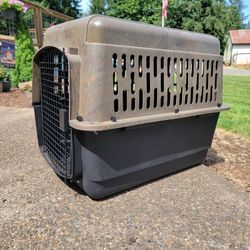 Dog Kennel