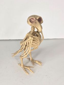 Skeleton Bird Crow Raven Creepy Halloween Decor