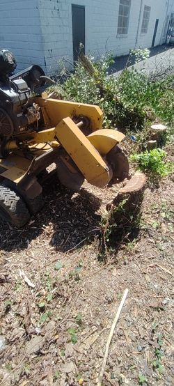 Stump Grinding 