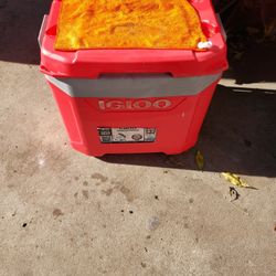 IGLOO 60 "QUART" ROLLINGB COOLER WITH LEAK RESISTANT  DRAIN PLUG