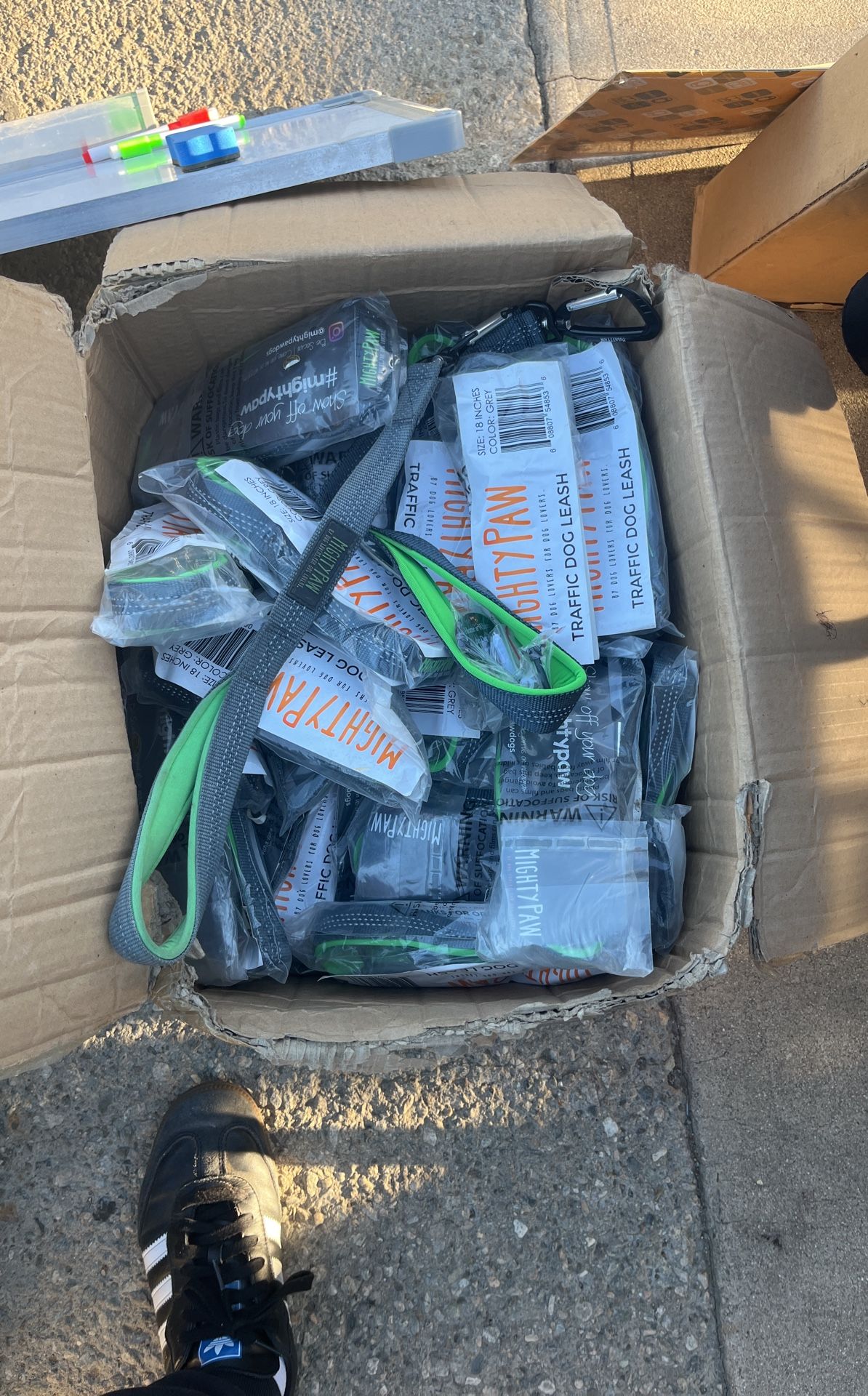 Dog Leash and Harness bundle 🦮🐕🦺