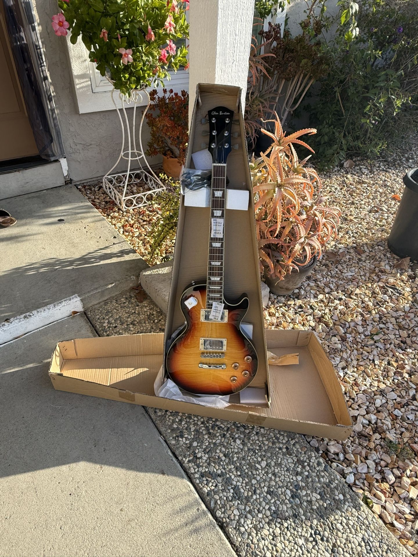 Beautiful 😻 Electric Guitar.  🎸.      New 