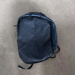 Thule Travel Backpack