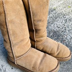Ugg W6 chestnut