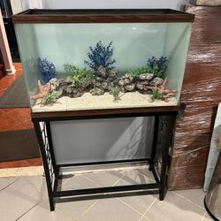 29 Gal Fish Tank