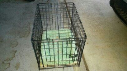 Small dog cage.