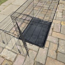 Dog Crate 42L x 28w x 32h
