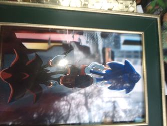 Sonic And Shadow The Hedgehog 