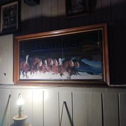 Budwieser Mirror