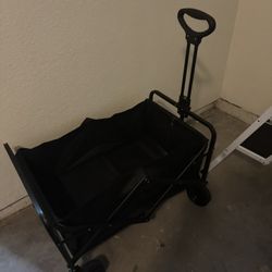 Large Wagon
