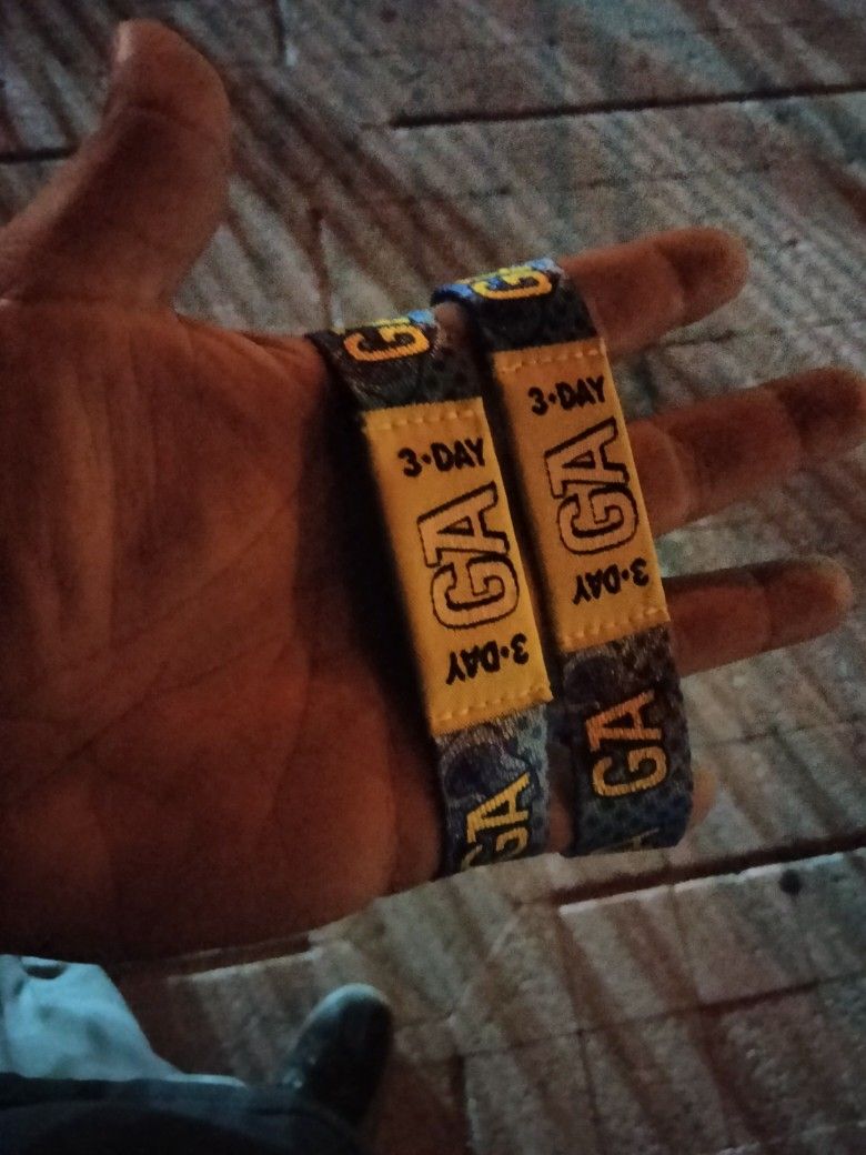 TORTUGA SUNDAY PASSES