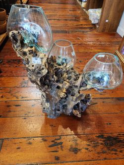 Large Hand-Blown Molten Glass & Gamal Wood Terrarium / Decor