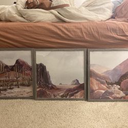 3 Glass Framed Desert Photos Never Used 