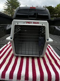 Pet Taxi