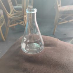 100ml Erlenmeyer flask