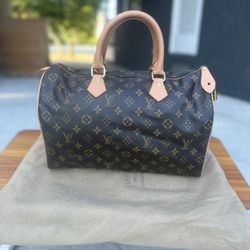 Louis Vuitton - Authenticated Speedy Handbag - Cloth Brown for Women, Good Condition