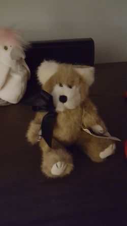 Boyd bear. New