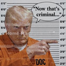 Funny Political Stickers (4-Pack) – $5 – Hilarious & Bold 😂