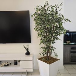 Planta artificial / Faux Plant 