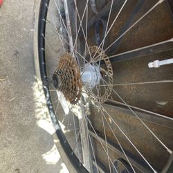 Beach Cruiser Bicycle Tire 