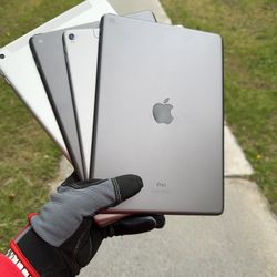 iPads 5 / 6 / 8 / Pro