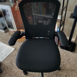 Office Chair (ergonomic)