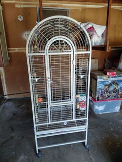 Parrot cage
