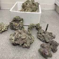 Dry Reef Rock 