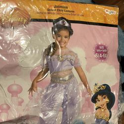Jasmine Costume